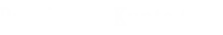 Developer
